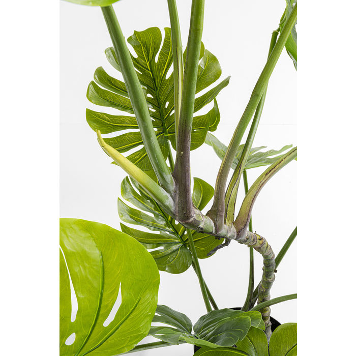 Deco Plant Monstera 110