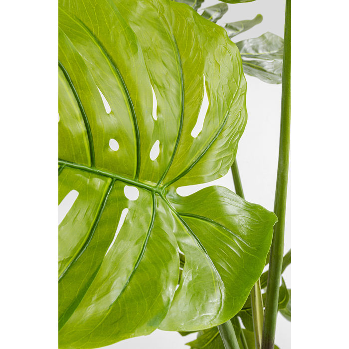 Deco Plant Monstera 110