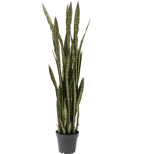 Deco Plant Sansewieria 155cm