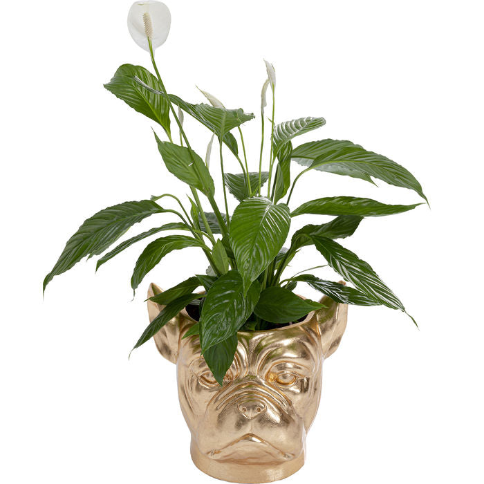 Deco Planter Bulldog Gold