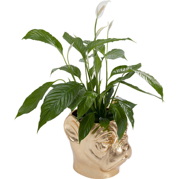 Deco Planter Bulldog Gold