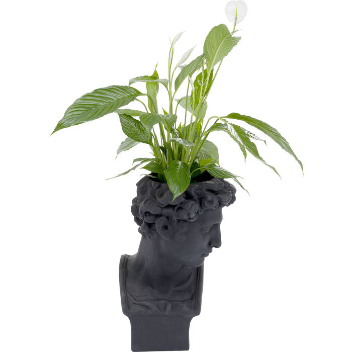 Deco Planter David Black