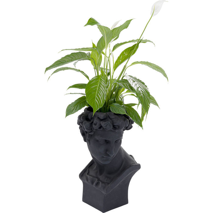 Deco Planter David Black