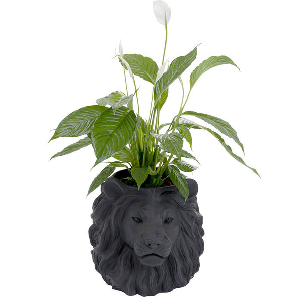 Deco Planter Lion Black