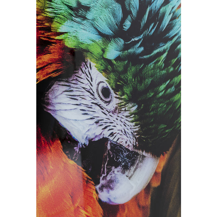 Glass Picture Tropical Parrot 120x80