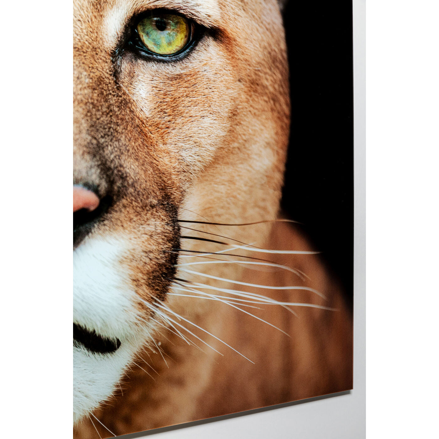 Glass Picture Lioness 150x100cm