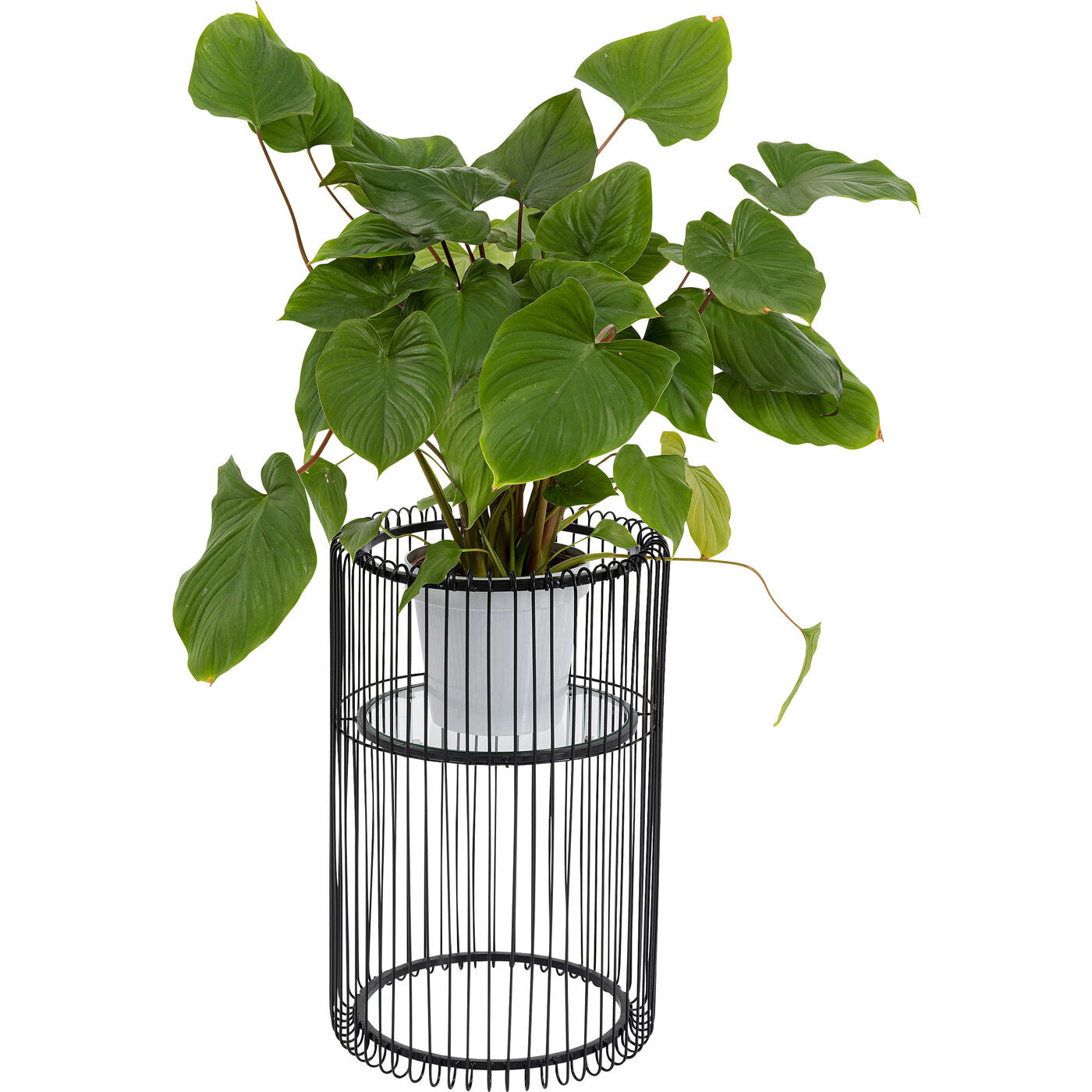 Plant Holder Wire Black 57cm