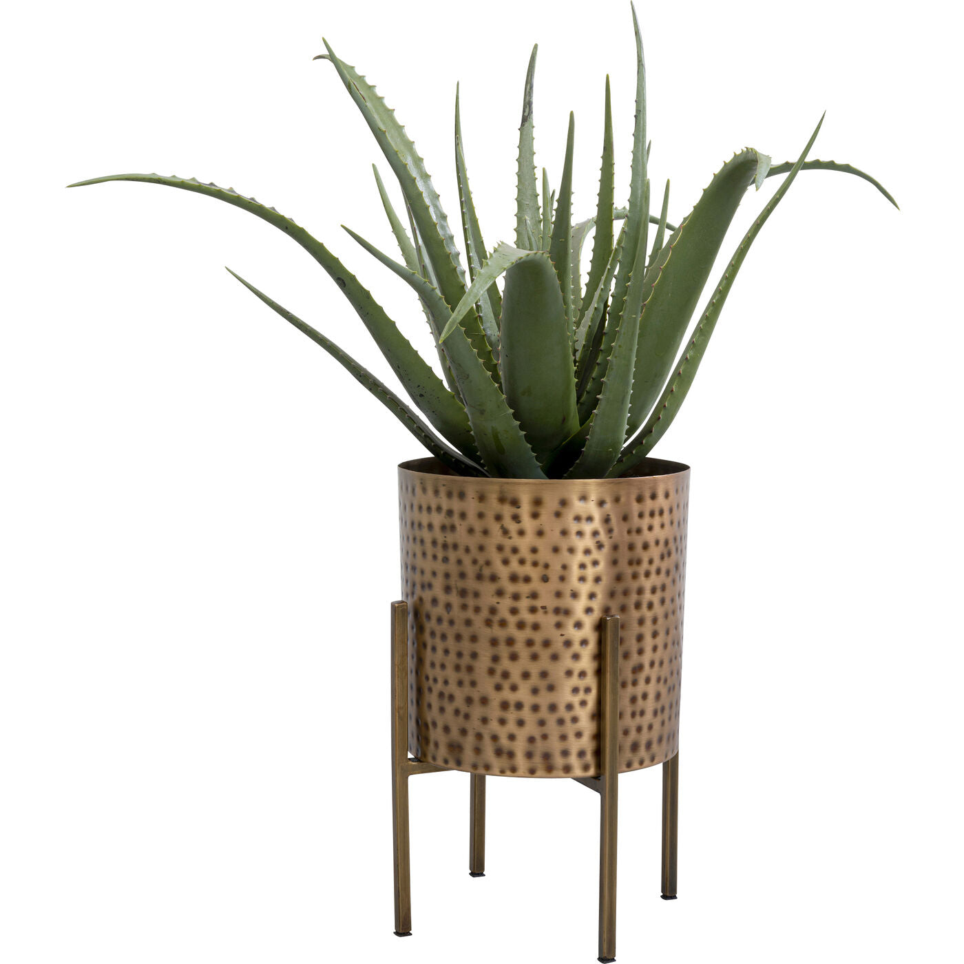 Brass-Plated Plant Pot