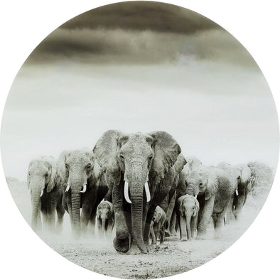 Glass Picture Elephant Walk √ò120cm