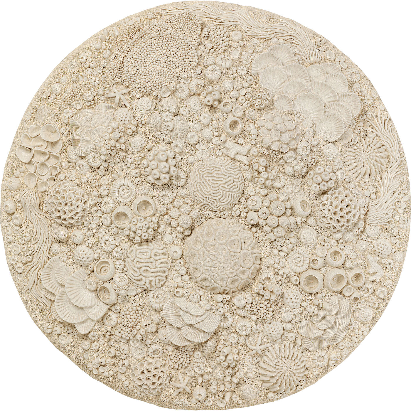 Wall Object Coral Reef √ò123cm