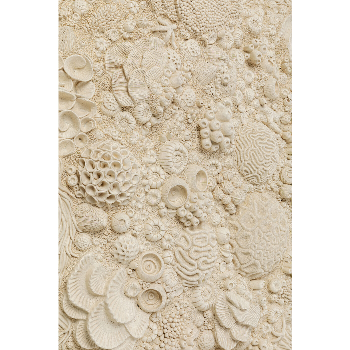 Wall Object Coral Reef √ò123cm