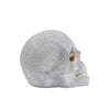 Skull Money Box