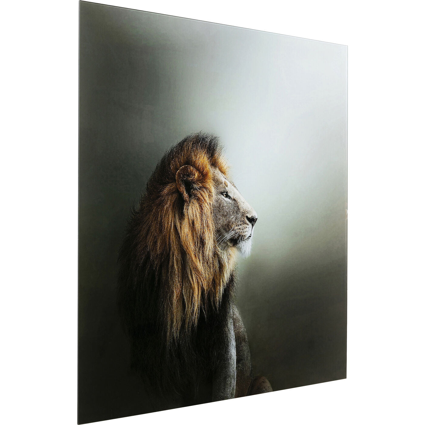 Glass Picture Lion King 100x100cm