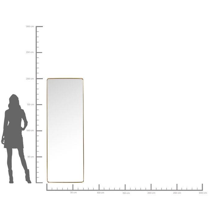 Mirror Curve Rectangular Brass 200x70cm