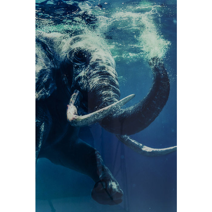 Swimming Elephant Glass Picture