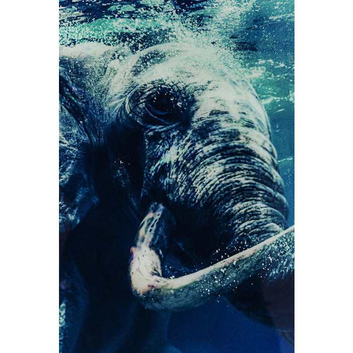 Swimming Elephant Glass Picture