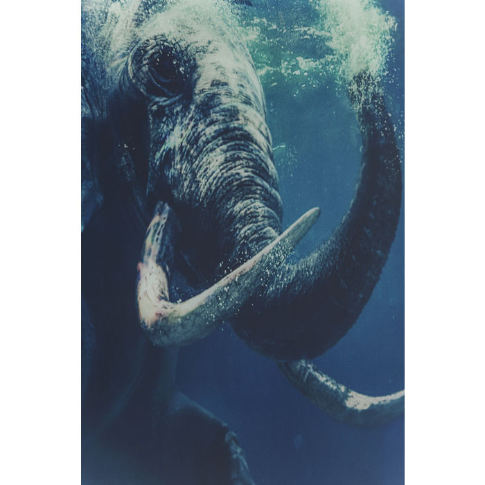 Swimming Elephant Glass Picture