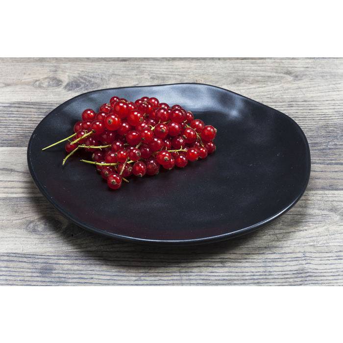 Plate Organic Black Ø20cm